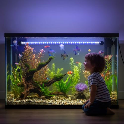 Dirvin LED Fish Tank Light with Timer, 24/7 Mode & 3 Color Aquarium Light | Submersible Adjustable Brightness, IP68 Waterproof, Sunrise-Daylight-Moonlight, Auto On/Off for Fresh and Salt Water, 6W - size: 11in