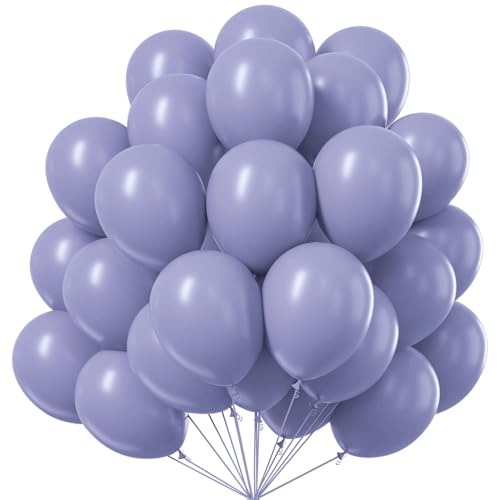 PartyWoo Dusty Blue Balloons 100pcs Boho Dusty Purple Muted Lavender Color - color: Blue-f16, size: 12 inch
