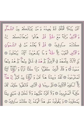 SODEF Bag Size Quran (Color, Cased, Sealed) 13x18 cm, 613 Pages, Shamuha Paper - Easy Read Arabic Text with QR Code
