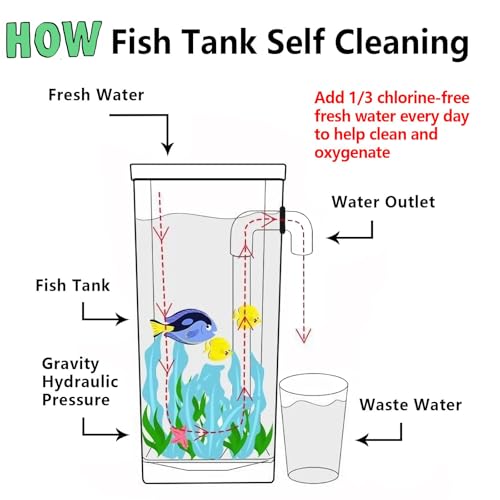 My 1st Fish Tank™ : Gen 2, Mini Fish Tank Aquarium Starter Kit 1 gal, Professional for Betta, Easny Maintain, Self Cleaning System-Only Add Water, Beautiful Color Changing LED Light, Color Box