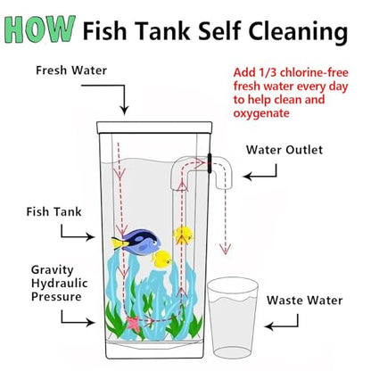 My 1st Fish Tank™ : Gen 2, Mini Fish Tank Aquarium Starter Kit 1 gal, Professional for Betta, Easny Maintain, Self Cleaning System-Only Add Water, Beautiful Color Changing LED Light, Color Box