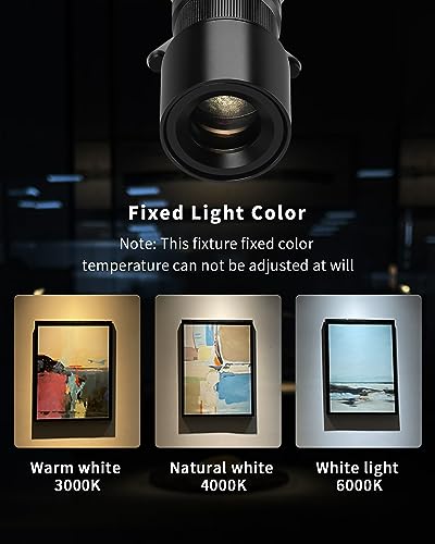 18W LED White Spot Light Led Pin Spot Manual Focus Length Adjustable, Aperture Size Adjustable, for Museum Art Gallery Exhibition Art 3000K - color: 3-Wire Track Dimming-White, size: 18w-3000k