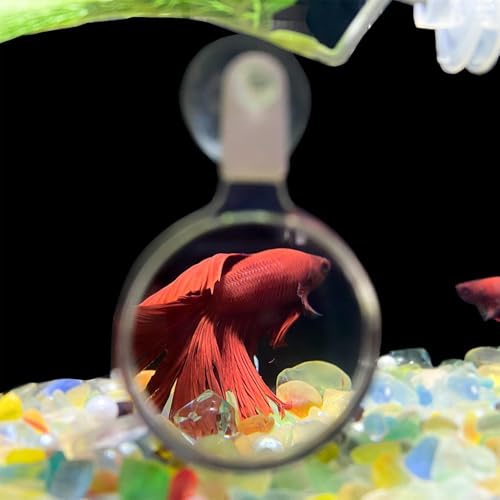 Fish Tank Viewer - Fish Tank Magnifier, Aquarium Magnifying Glass | Acrylic Fish Tank Magnifying Glass, Fish Tank Inspection Viewer, Animal Plant Observation Fish Tank Viewer for Viewing Coral