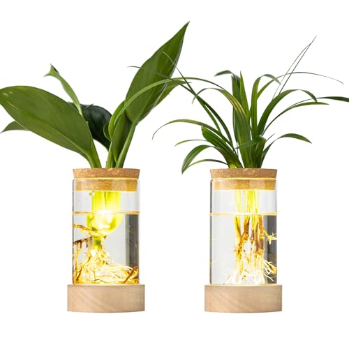 Glass Plant Propagation Stations, Propagation Vases for Plants with Ambient Light Base, Hydroponic Vase for Home & Office Windowsill Tabletop Decoration Desktop Vases for Living Room, Bedroom (2)