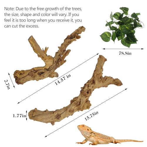 VCEPJH 2 Pack Reptile Wood Branches, Snake Climbing Branch Natural Bearded Dragon Log Tank Accessories Tree Trunk for Chameleon Gecko Snake Frog Spider - size: Pomegranate Wood (L:13.7"-15.7"-2pcs)
