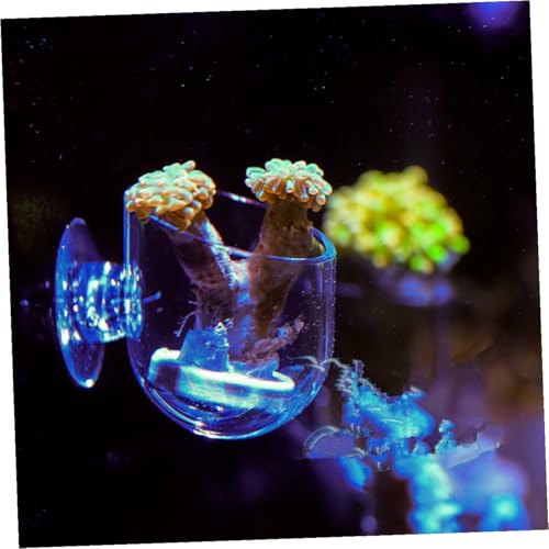 2pcs Red Aquarium Feeding Cups Acrylic Fish Food Holders with Suction Cups for Fish and Shrimp Tank Feeding Dispenser