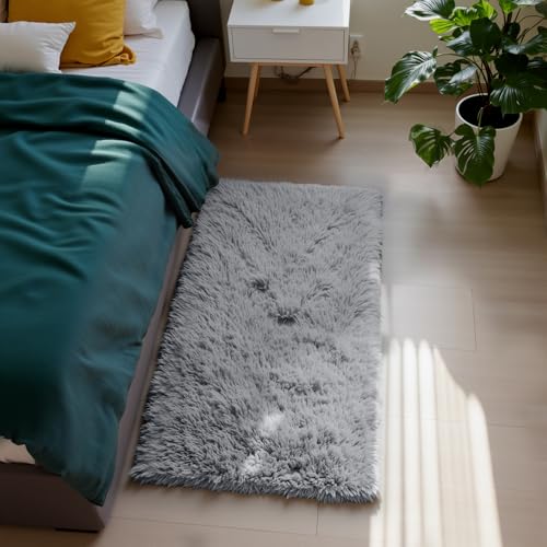 Fluffy Rug Shag Area Rug, Light Grey 2x4 Area Rugs for Bedroom, Small Bedside Rug, Soft Fluffy Shag Entryway Throw Rugs for Living Room Bedroom Room Home Decor - color: Light Grey, size: 2' x 4' (Rectangular)