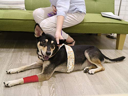 FRESINIDER 9 Rolls Self Adhesive Wrap Athletic Tape Gauze, Breathable Elastic Cohesive Bandage for Sports Injury & Pet (7 Pcs 2" x 5 Yards + 2 Pcs 1" X 5 Yards) (Red) - color: Red