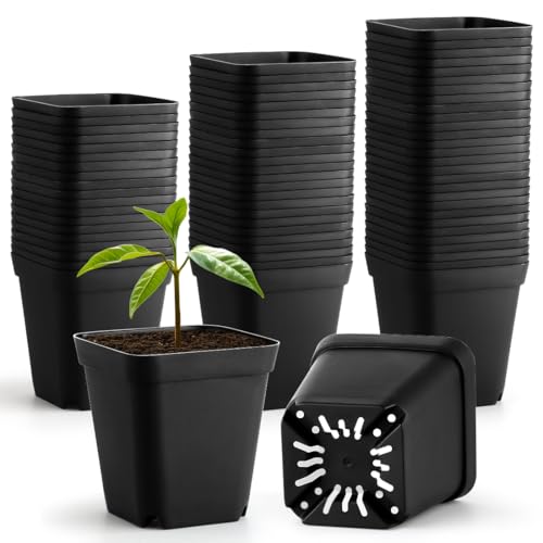 60 Pcs Nursery Pots 2.7 Inch, Plastic Seed Starting Pot with Drainage Holes, Sturdy Seedling pots for Planting, Cuttings (Black) - color: Black, size: 2.7 Inch-60P