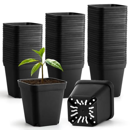 60 Pcs Nursery Pots 2.7 Inch, Plastic Seed Starting Pot with Drainage Holes, Sturdy Seedling pots for Planting, Cuttings (Black) - color: Black, size: 2.7 Inch-60P