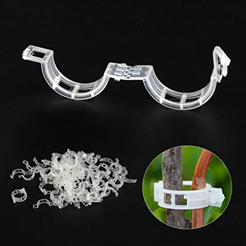 Spencer 200 Pcs Plant Support Clips - 100 Pcs Tomato Vine Clips (1.18” Inner Diameter) and 100 Pcs Plant Bender (1.57” in Length) for Garden Plants Fruits Vegetables - size: 100 Pcs + 100 Pcs