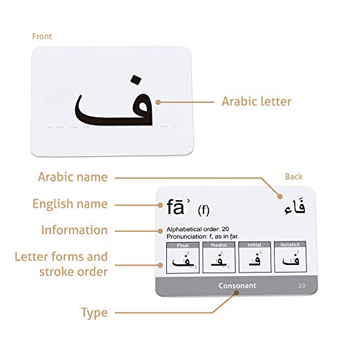 CARDDIA | Arabic Alphabet Educational Flashcards | Includes Consonants, Vowels, Diacritics and Numerals | Ideal for Arabic Language Beginners