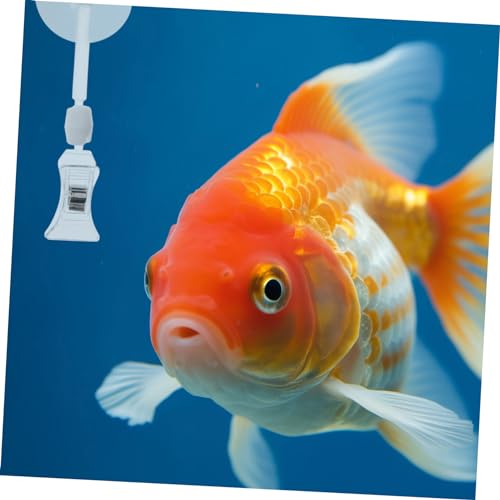 6pcs Reusable Fish Tank Feeding Clamps for Aquarium Accessories Stable Hold for Fish Tanks Versatile Use Home Office and Restaurant