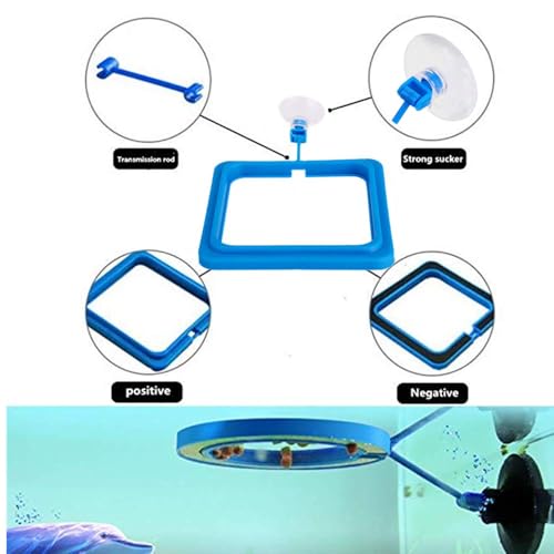 2 Pcs Fish Feeding Ring, Fish Safe Floating Food Feeder Circle Blue, with Suction Cup Aquarium, Square and Round Shape Fish Tank Towels - for Guppy, Betta, Goldfish, Etc. (Blue)¡­ - color: Blue suit