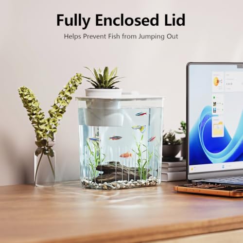 0.8 Gallon Betta Fish Tank Aquarium Starter Kit with Light and Lid(White) | Premium Acrylic Aquarium with Light and Lid, Crystal Clear Starter Kit for Betta Fish, Shrimp, Snails and Small Fish - color: White, size: 0.8 Gallon