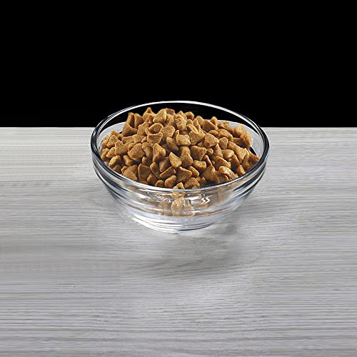 Replacement Glass Bowl for Feoyoho 3.75in Feeder Stand – Small, 13.7 oz / 1.7 Cups, Dishwasher & Microwave Safe - size: For 3.75ʺ Tall Stand (Small, 13.7 oz)