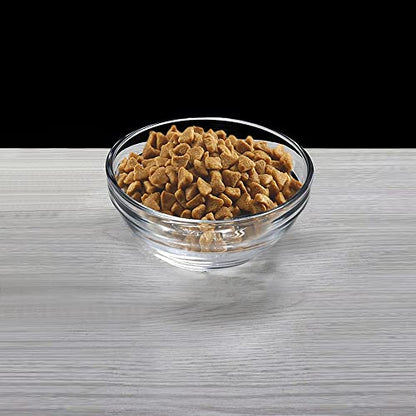 Replacement Glass Bowl for Feoyoho 3.75in Feeder Stand – Small, 13.7 oz / 1.7 Cups, Dishwasher & Microwave Safe - size: For 3.75ʺ Tall Stand (Small, 13.7 oz)