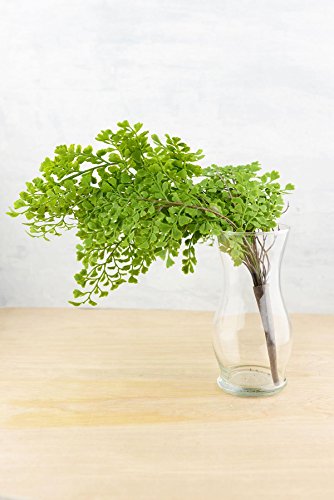 Richland Fern Bush 18" Artificial Maidenhair - color: Green, size: 18''