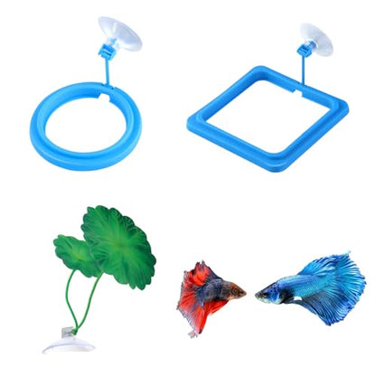 2Pcs Fish Feeding Ring, 2 Feeding Ring for Tank with 1pcs Betta Fish Live Plant, Betta Feeder for Aquarium Decor, Goldfish Tank Accessories