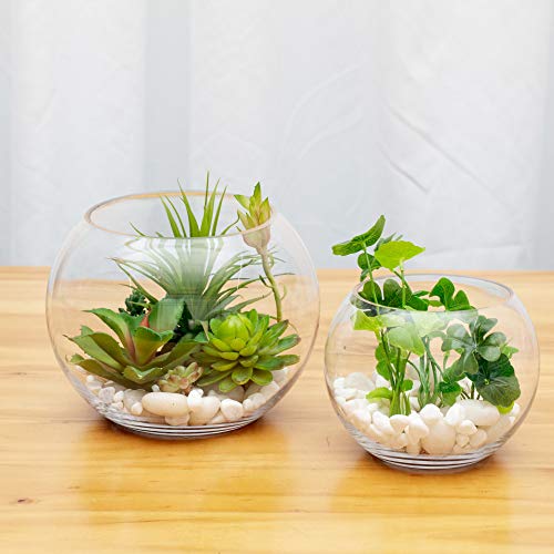 WGVI Bowl Glass Vase, Diameter 8", Height 6", Open Width 5", (Multiple Sizes Choices) Clear Bubble Planter Terrarium Fish Bowl for Wedding Event Home Decor, 1 Piece (VBW0008A) - size: 8"Dx6"H 1 Piece