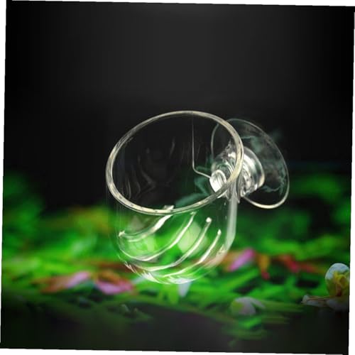 NUOBESTY 2pcs Acrylic Fish Feeder Red Feeding Cup Aquarium Food Holder for Fish Tank Feeding Supplies with Suction Cup Suitable for Live Worms and Shrimp