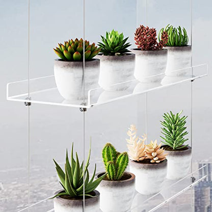 OtNiap Clear Hanging Window Plant Shelves, 2-Pack 3-Tier, 16-Inch Stand | Adjustable Indoor wall plant holder for herbs, microgreens and potted plants. Maximizes window space while displaying plants - size: 2 Pack-3 Tier