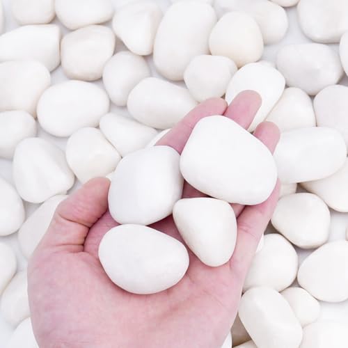 Pulovin 18 lbs White Rocks for Landscaping, Vases, Plants Indoor, 1-2 Inch | Large White Rocks for Plants, Decorative Polished Stones for Garden, Walkways, Yard, Plants Pots, Vases, Crafts - color: White