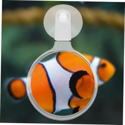 4pcs Acrylic Fish Tank Glass Cup for Close-up Viewing of Betta Fish Landscapes Ants Spiders and Plants Easy Installation and Observation Tool