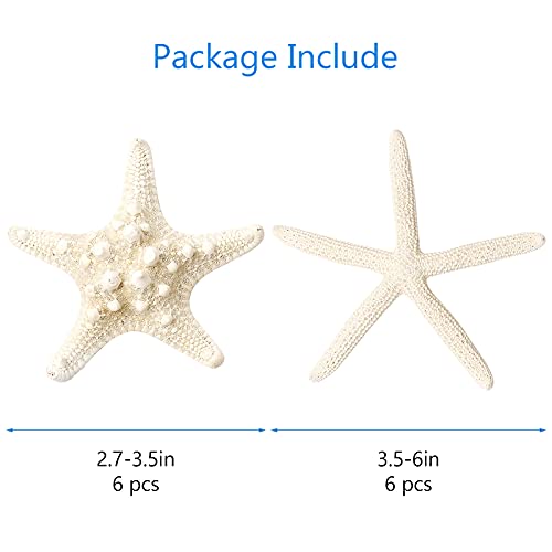 12 PCS Starfish | 2.5-6 Inch Starfish Decor | Natural Bulk Starfish Shells Perfect for Crafts Making Beach Theme Party Wedding Decoration, Home Wall Decor, Christmas Ornaments, Fish Tank