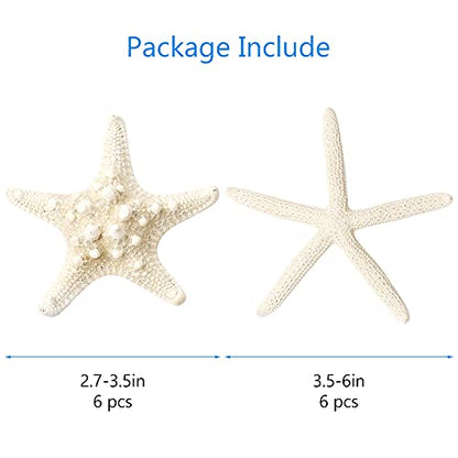 12 PCS Starfish | 2.5-6 Inch Starfish Decor | Natural Bulk Starfish Shells Perfect for Crafts Making Beach Theme Party Wedding Decoration, Home Wall Decor, Christmas Ornaments, Fish Tank