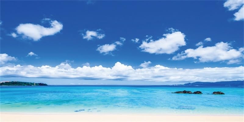 AWERT 48x24 inches Nature Landscape Aquarium Background Small Island Blue Sky White Cloud Beach Ocean Natural Scenery Fish Tank Background Beach and Sea Scenery Fish Tank Background - size: 48x24in/120x60cm