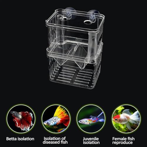 1/2 Fish Acclimation Box - Acrylic Hatchery Incubator Tank, Fish Breeder Box with 2 Suction Cups | Easily Install Breeding Isolation Box, Floating Breeding Box for Baby Fishes Shrimp Betta Guppy - size: Medium