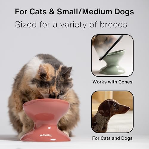 RAWRY Raised Ceramic Cat Bowl, Elevated Tilted Cat Bowl, Wide Shallow Cat Dish, Whisker Fatigue Cat Bowl, Dishwasher & Microwave Safe for Wet or Dry Food, Cats & Small Dogs, 12 oz (Plum) - color: Plum