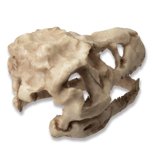 Dinosaur Skull Aquarium Decoration,Fish Tank Décor,6.3"x4"x4" | Hideaway for Fish, Natural Look, Fun Underwater Environment - size: 6.3"