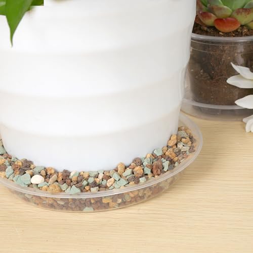 FUIJOL 6 Pack Clear Plant Saucer, Durable Plant Drip Trays Saucers for Pots, No Holes Water Catcher Trays for Indoor Outdoor Planter, Sturdy Base Plate (Clear, 6.2"-6Pack) - size: 6.2"-6Pack