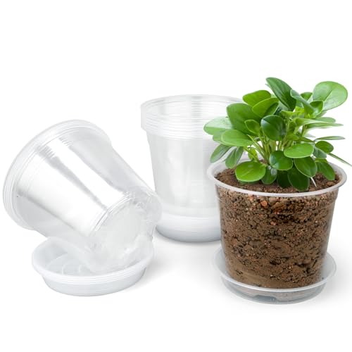 6 Inch Clear Nursery Pots with Drainage Trays, 15 Pack Plastic Pots for Plants, Clear Pot for Seed Starting, Transplanting, Succulents, and Indoor Gardening (6 inch) - size: 6 inch