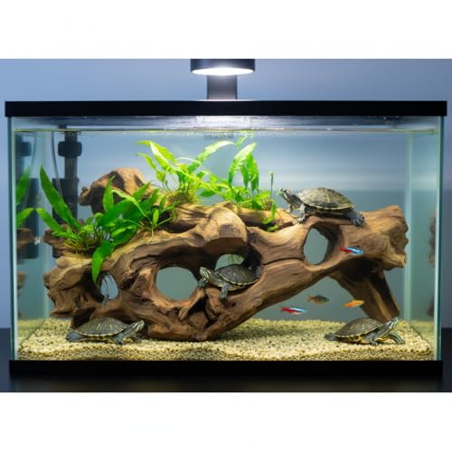 emours Porous Natural Driftwood for Aquarium, Aquascaping Driftwood with Holes, Hand-Selected Tunnels & Hideouts, Aquascaping Hardscape, Terrarium Reptile Décor, No Paint or Resin (16-20" (40-50 cm)) - size: 16-20" (40-50 cm)