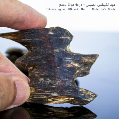 Chinese Natura Kynam Agarwood （Qinan Oud） - Boasts a Distinctly Unique Aroma, Ideal for Home Incense, Meditation & More | Sustainable Harvesting (10g Experience Pack - Sink Grade - Block) - color: 10g Experience Pack - Sink Grade - Block