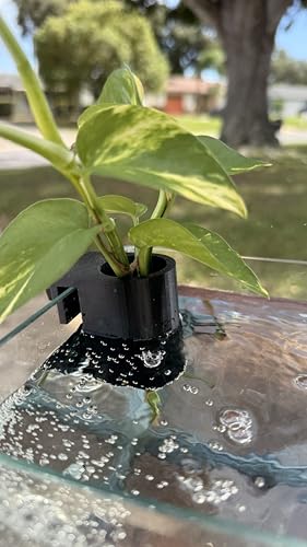 Aquarium Plant Holder for Standard Rimless Fish Tanks The Tube 3D Printed - Pothos Holder - Stemmed Plant Holder -Aquascaping & Aquarium Tool Holder