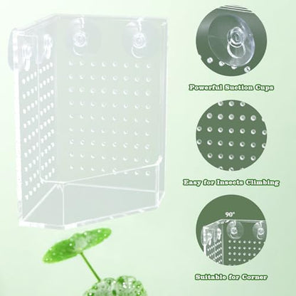 Bearded Dragon Tank Accessories, Transparent Acrylic Corner Hunting Bowl with Suction Cups, Bearded Dragon Food Bowl, Chameleon Feeder, Food Dispenser for Bearded Dragon, Chameleon, Frog