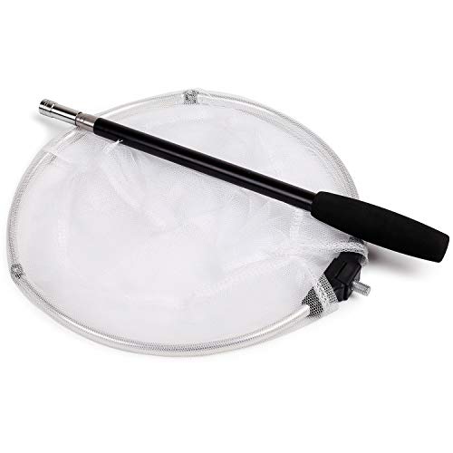 RESTCLOUD Insect and Butterfly Net with 12" Ring, 24" Net Depth, Handle Extends to 59 Inches - size: 10" Ring, 48" Handle