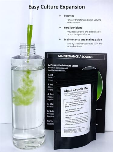 Complete Green Water (Chlorella vulgaris) Culture and Expansion Kit: One 8 oz Working Container, One 1 oz Backup Container, Harvesting Tools, and Tap Water Conditioner - Live phytoplankton