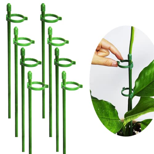 Belit 8 Pack Small Plant Support Plant Stakes, Adjustable Garden Single Stem Support Stake, Planter Support Ring for Orchid, Rose, Peony, Peppers and More, 12 inch - size: 11.8 Inch