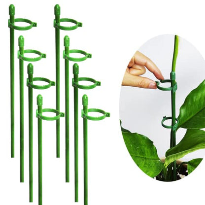Belit 8 Pack Small Plant Support Plant Stakes, Adjustable Garden Single Stem Support Stake, Planter Support Ring for Orchid, Rose, Peony, Peppers and More, 12 inch - size: 11.8 Inch