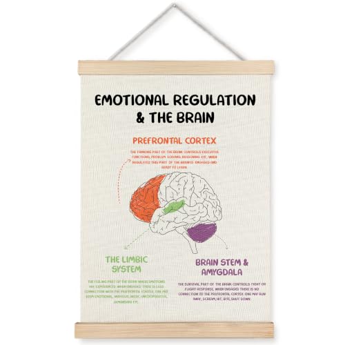 WUCHJ Emotional Regulation Mental Health Wall Art Poster 12x16 in - color: Emotional Regulation Mental Health