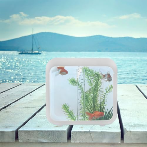 Plastic Aquarium Miniature Kits Small Aquarium Mini Fish Tank Small with LED Lighting Fish Landscape Box Desktop Decoration LED Creative - color: White
