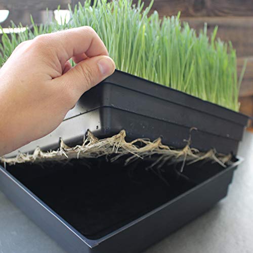 Handy Pantry 10" x 10" Garden Growing Trays with Drain Holes - 5-Pack | Recyclable Plastic Plant Trays for Wheatgrass, Microgreens, Hydroponic Growing, Nursery Flats, Greenhouse Supplies