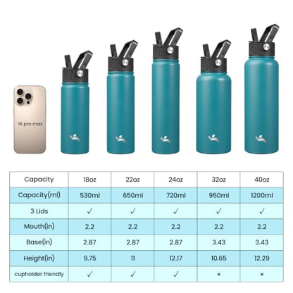 Konokyo 18 oz Insulated Water Bottle Stainless Steel Sport Bottles with 3 Lids,Light Blue - color: Light Blue, size: 18 Ounces