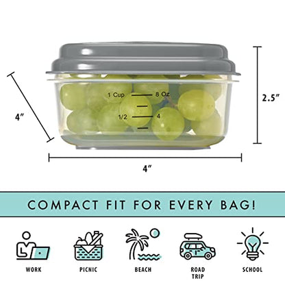 Fit & Fresh Small Plastic Containers With Lids 8 oz, Small Snack Containers With Lids For Adults and Kids, Reusable Leakproof Dressing and Condiment Containers With Two Attachable Ice Packs - size: 1 Cup