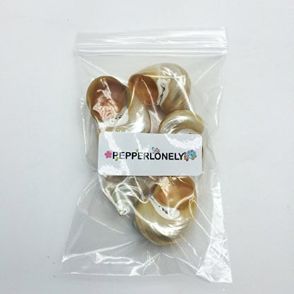 PEPPERLONELY 5PC Pearlized Gold Mouth Turbo, Hermit Crab Sea Shells, 1-1/2 Inch to 2 Inch - color: 9#. Pearlized Turbo, 1.5 ~ 2 "